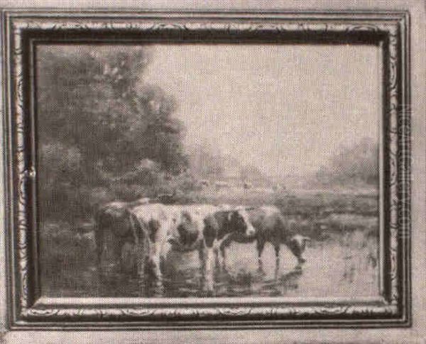 The Watering Hole - view 1