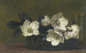 White Hellebores by Alfred Frederick William Hayward