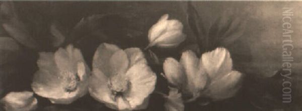 Christmas Roses - view 1