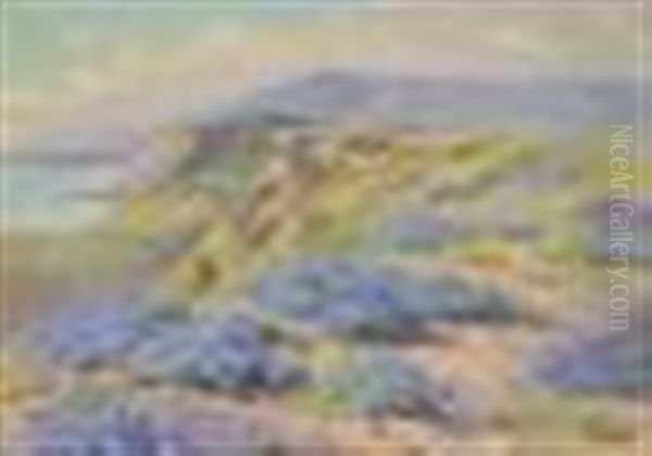 Laguna Beach With Wildlflowers - view 1