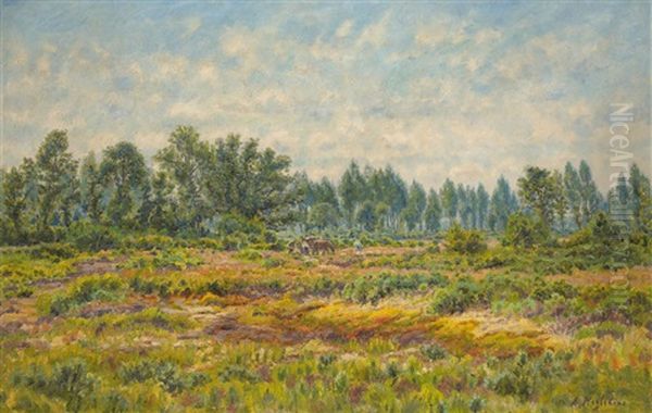 Paysage Ensoleille - view 1