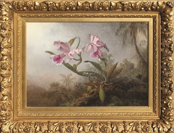 Iris - view 1