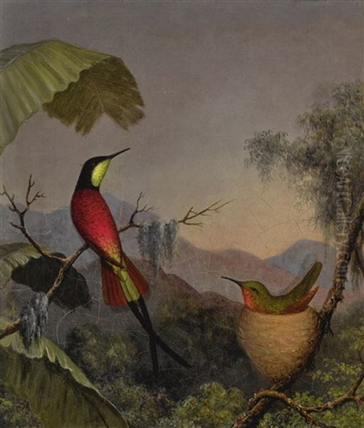 Crimson Topaz" Hummingbirds Nesting Near A Palm Tree - view 1