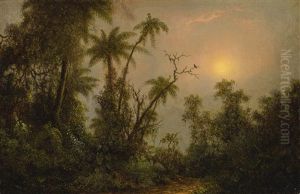 Tropical Forest Scene by Martin Johnson Heade