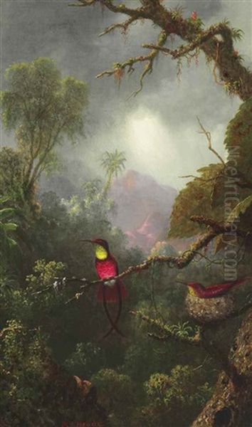 Nesting Hummingbirds, Brazilian Landscape - view 1