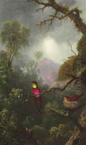 Nesting Hummingbirds, Brazilian Landscape by Martin Johnson Heade