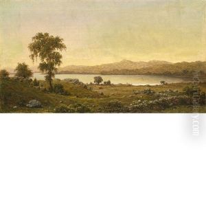 Rhode Island Scene (a Lake Study) by Martin Johnson Heade
