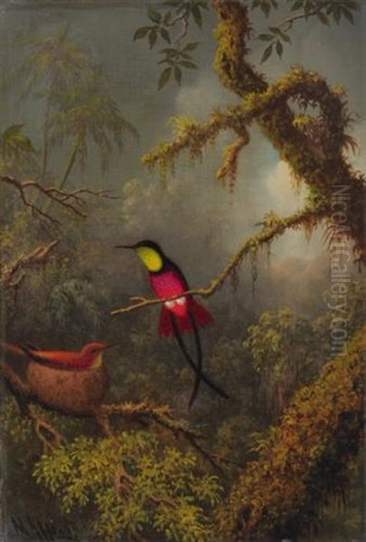 A Pair Of Nesting Crimson Topaz Hummingbirds - view 1