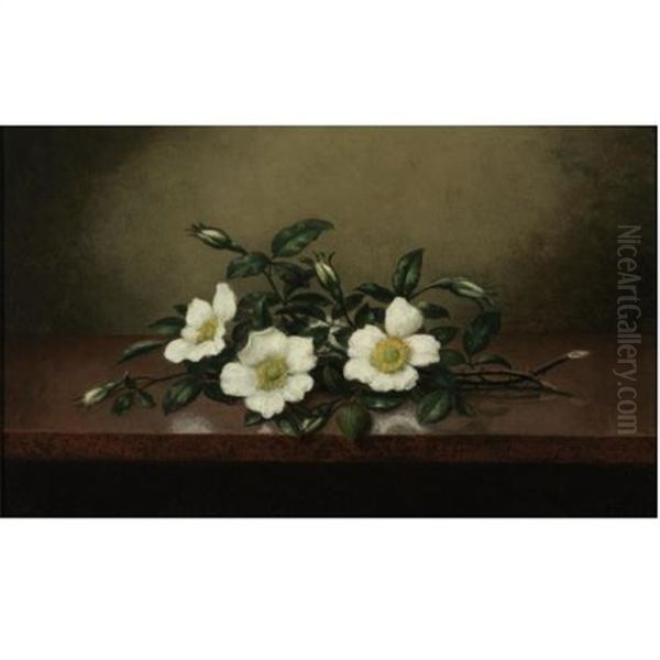 Cherokee Roses On A Shiny Table - view 1
