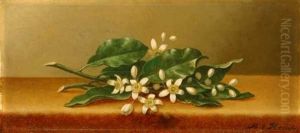 Orange Blossoms On Yellow Velvet Orange Blossoms On Yellow Velvet