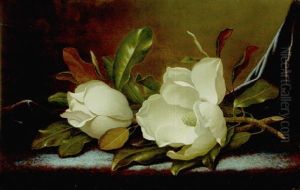 Two Magnolias On Blue Plush