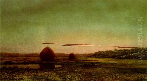 Marshes - view 1