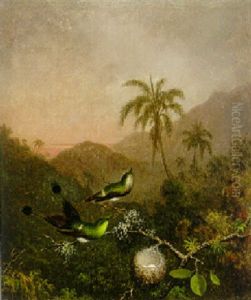 Two Green-breasted Hummingbirds