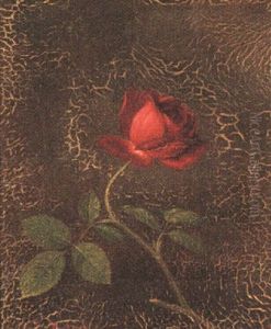 A Red Rose by Martin Johnson Heade