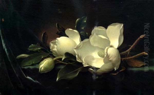 Magnolia Blossoms On Blue Velvet - view 1