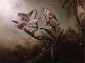 Orchides And Hummingbird