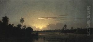 Afterglow, Florida by Martin Johnson Heade
