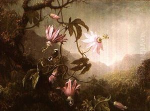Hummingbird And Passion Flowers by Martin Johnson Heade