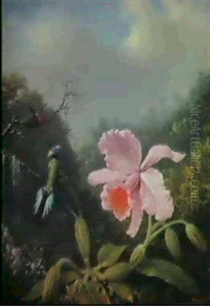 Still Life With Orchid And Pair Of Hummingbirds - view 1