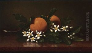 Two Oranges With Orange Blossoms by Martin Johnson Heade