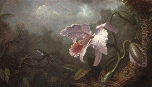 Hummingbird And Orchid - view 1