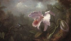 Hummingbird And Orchid by Martin Johnson Heade