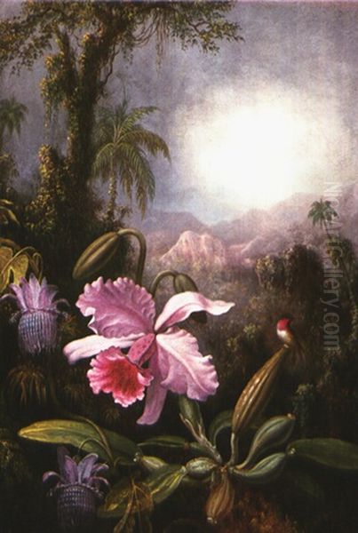 Orchids, Passion Flowers And Hummingbird - view 1