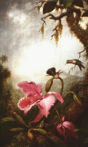 Two Small Hummingbirds Above An Orchid by Martin Johnson Heade
