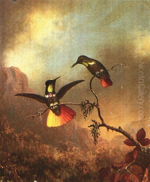 Two Hummingbirds In A Landscape - view 1