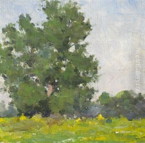 Trees Study, Summertime by Michael Healy