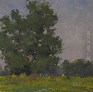 Tree Study, Summertime by Michael Healy