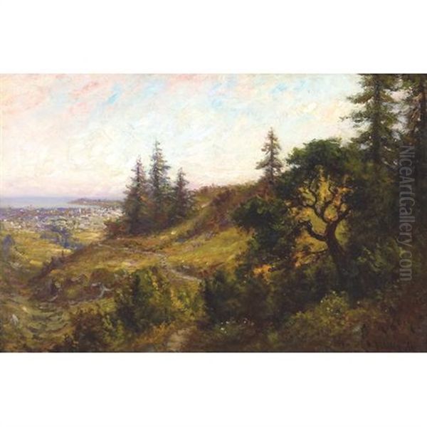 A View Of Downtown Santa Cruz From Beacon Hill - view 1