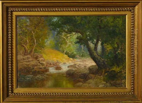 Oak Park Bounty - Santa Barbara, California - view 1