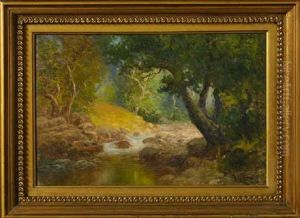 Oak Park Bounty - Santa Barbara, California