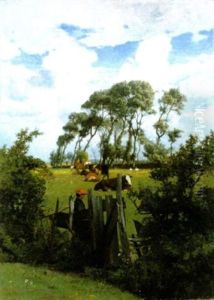 Zomer Te Tervuren Zomer Te Tervuren