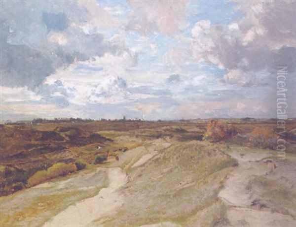 Dutch Dunes Under A Blustery Sky - view 1