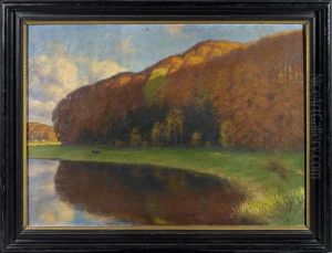 Waldlichtung An Einem See Waldlichtung An Einem See