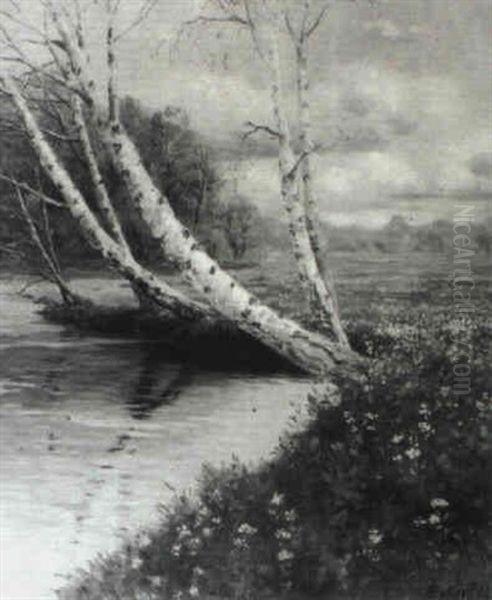 Birken Am Teich - view 1