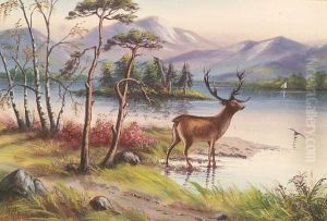 Stag Before A Loch Landscape