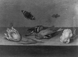 A Still Life With Dead Songbirds, A Rose, A Tulip, Butterflies And Other Insects On A Ledge by Willem (Guilliam) de Heer