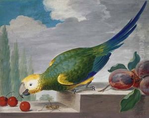 A Green Parrot On A Ledge Pecking At Cherries, With A Grasshopper Below by J. F. Hefele