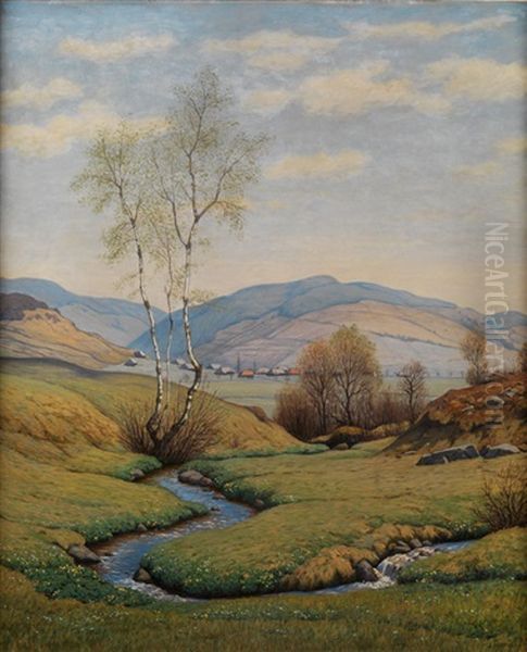 Idyllische Flusslandschaft - view 1