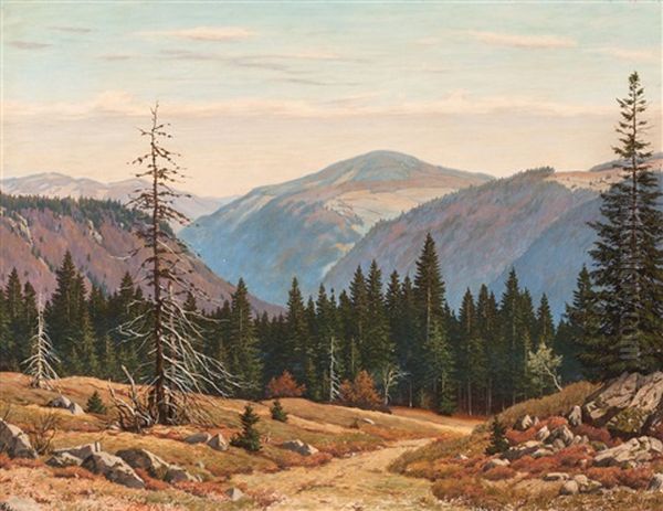 View On An Autumn Coloured Mountain Landscape At The Black Forest - view 1