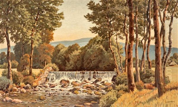 Stream Water With Birch Trees - view 1