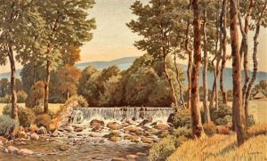 Stream Water With Birch Trees Stream Water With Birch Trees