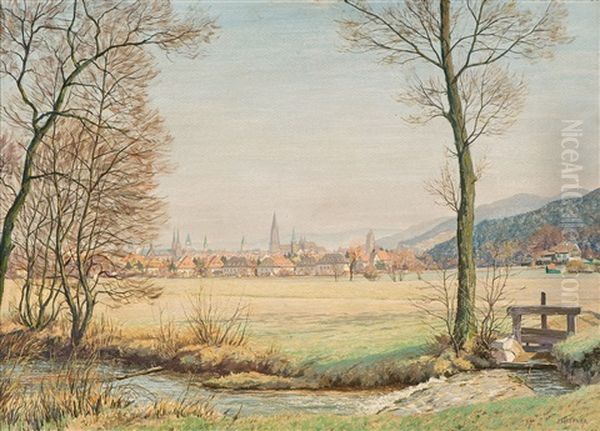 Blick Auf Freiburg - view 1