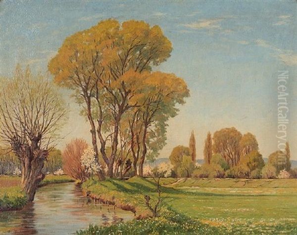 Auelandschaft In Der Fruhlingsblute - view 1