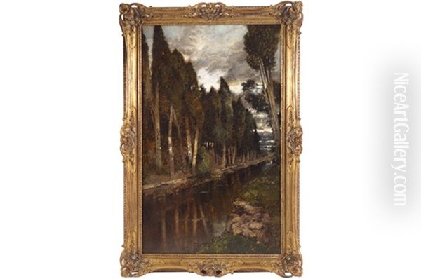 Wooded Riverscape - view 1