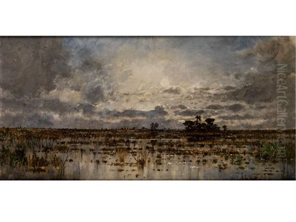 Sumpflandschaft - view 1