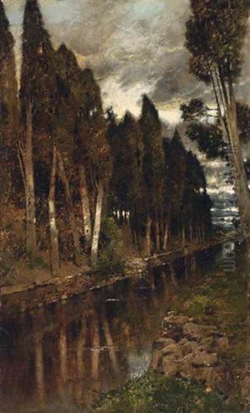 Kanal In Weiter Baumlandschaft - view 1